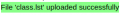 Successful upload